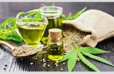 The success of a cannabis startup in the field of medical use