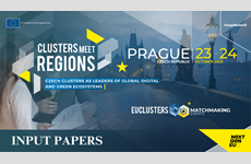 Read the Input Papers on the economy of the Czech Republic and the importance of cluster organisations